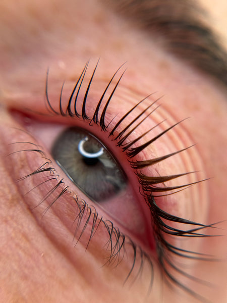 LASH & BROWS TREATMENTS
