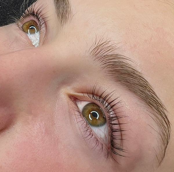 LASH & BROWS TREATMENTS